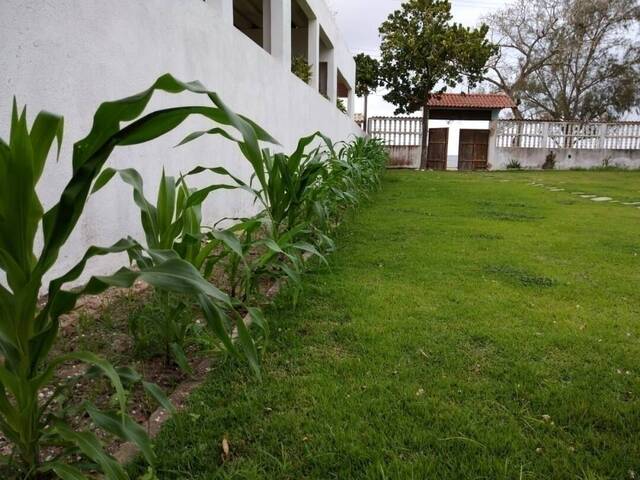 Casa para Venda em São Pedro da Aldeia - 5