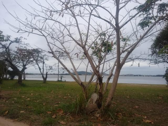 Área para Venda em São Pedro da Aldeia - 4