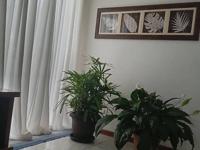 Apartamento para Venda em São Pedro da Aldeia - 5