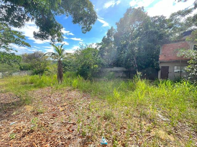 Área para Venda em São Pedro da Aldeia - 5